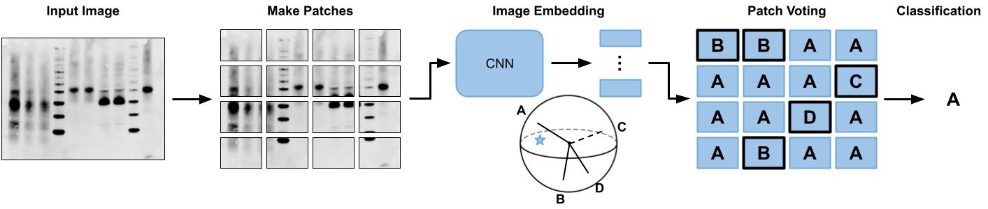 [METHOD]